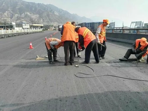 苏家屯道路桥梁病害治理